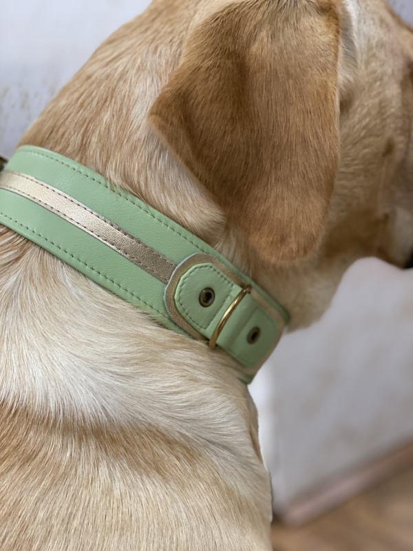 Maßanfertigung Hunde-Lederhalsband 14